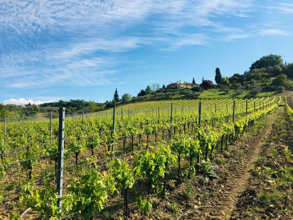 Agriturismo La Valle A Polvereto Tavarnelle Val di Pesa Buitenkant foto