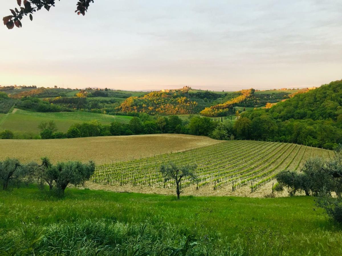 Agriturismo La Valle A Polvereto Tavarnelle Val di Pesa Buitenkant foto