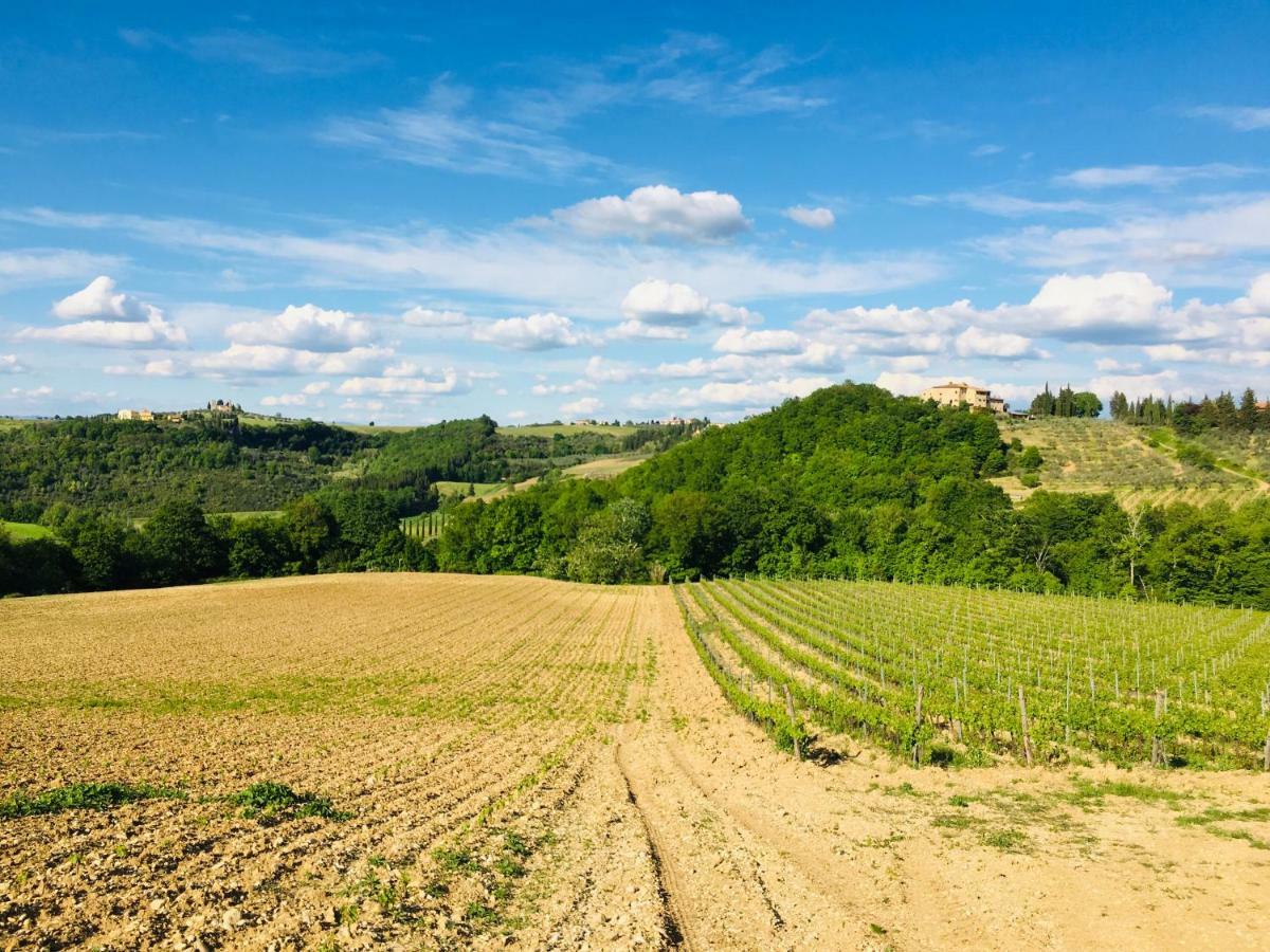 Agriturismo La Valle A Polvereto Tavarnelle Val di Pesa Buitenkant foto